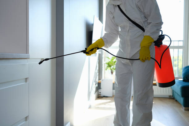 Best Commercial Mold Inspection  in Fairless Hills, PA